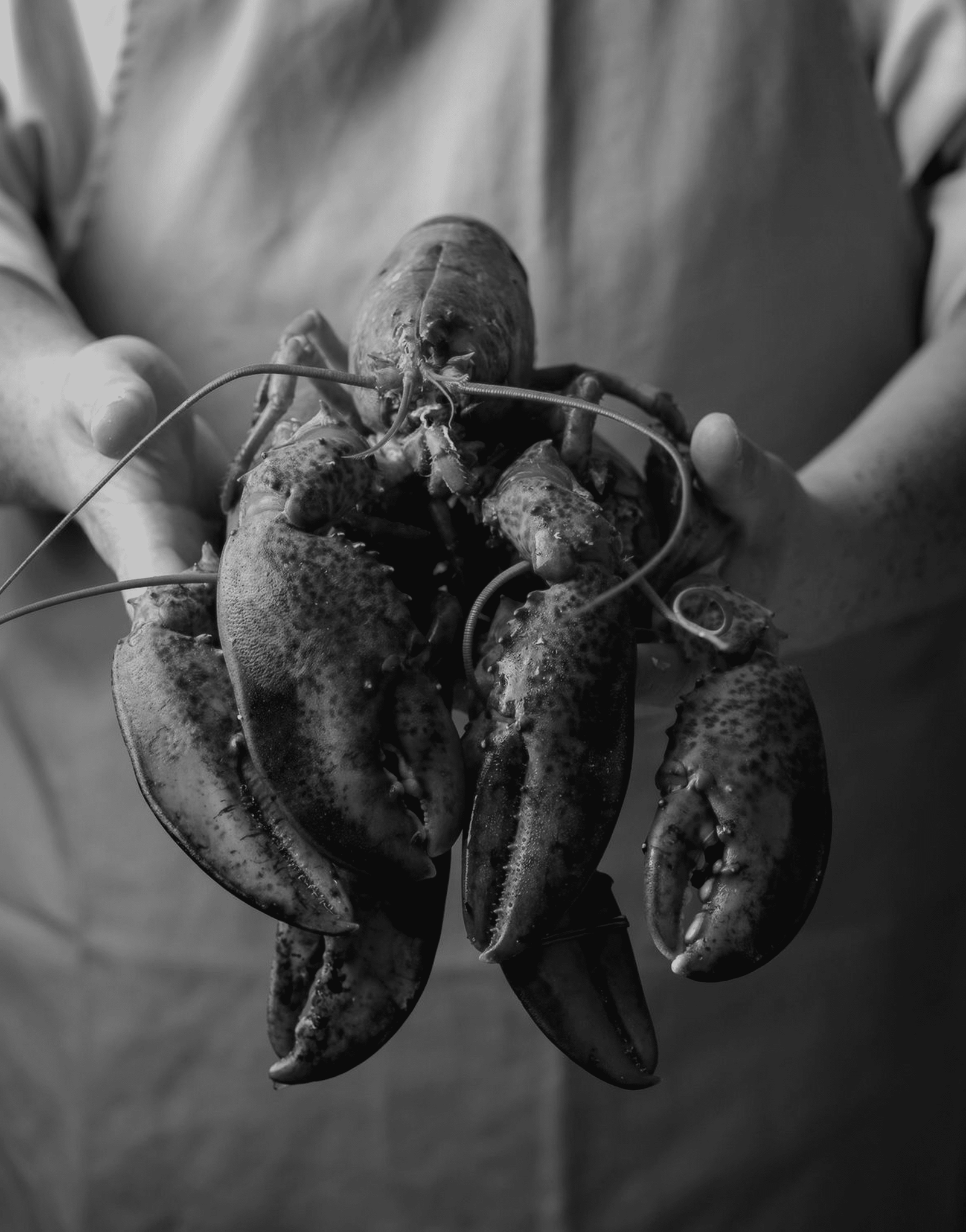 Atlantic live seafood supplier